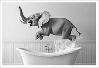 PLAKAT BEZ RAMY do Łazienki WC Toalety śmieszny słoń wanna P2518_50x70