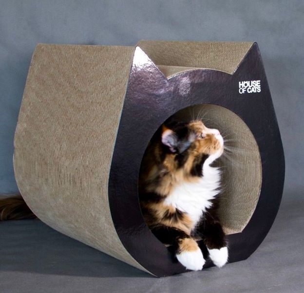 Drapak Cat Drapak dla kota Cat Triangle zdjęcie 6