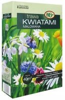 Trawa Mieszanka Kwiatami Malowana Granum 1kg