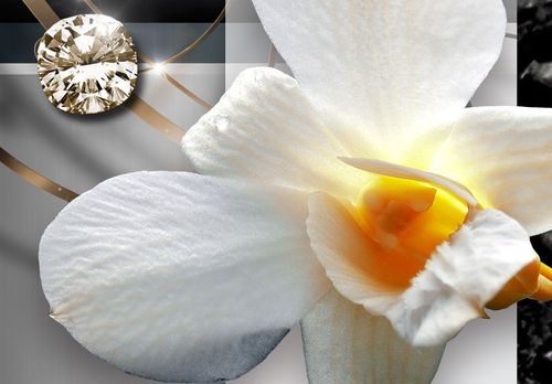 Obraz - Słoneczne orchidee Rozmiar - 200x100 na Arena.pl