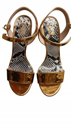 cavalli class 15342 R,36 na Arena.pl