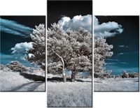 product-compare-58681986