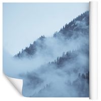 Fototapeta Las we Mgle Drzewa Góry do Salonu 180x120