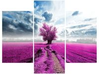 OBRAZ FIELD&TREE POLE DRZEWO KOLORY