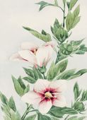 Plakat 13x18cm Hibiscus, Morikaga Japoński Vintage do Salonu