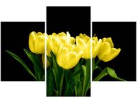 product-compare-58647027