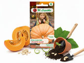 LEGUTKO NASIONA DYNI DYNIA OLBRZYMIA ATLANTIC GIANT BOGATA W WITAMINY 3 G