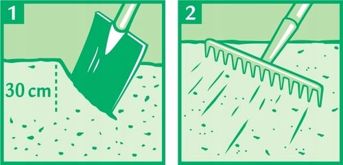 Trawa Samonawożąca 5KG Z MIKROKONICZYNĄ Koniczyna Odporna na suszę 200m2 na Arena.pl