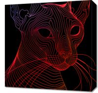 Obraz 50x50cm Cyfrowa Kocica