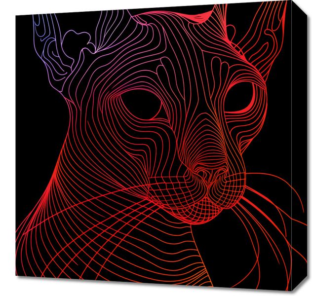 Obraz 50x50cm Cyfrowa Kocica zdjęcie 1