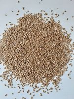 Kanar (mozga kanaryjska) dla kanarków, papug 5 kg