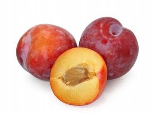 Śliwa RENKLODA ALTHANA 2-letnia NR1 NASZA ULUBIONA na Arena.pl