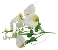 bukiet kwiaty kalie  10 kwiatów białe 40 cm