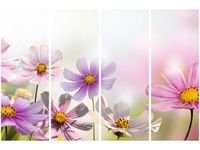 product-compare-58698359