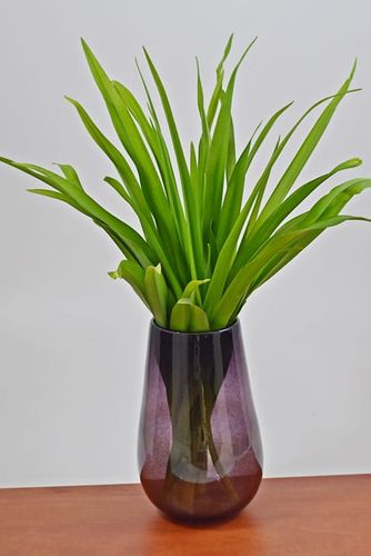 Wazon w kolorze wrzosu na Arena.pl