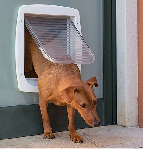 Brązowe drzwiczki dla średnich i dużych psów oraz dużych kotów - Swing 11 na Arena.pl