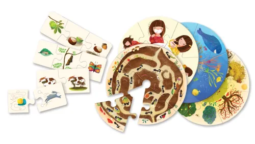 Gra edukacyjna. Logika na Arena.pl