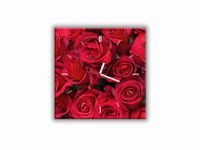 ZEGAR SZKLANY KWADRATOWY - Róże