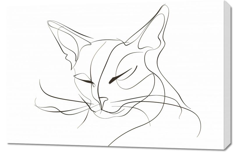 Obraz 90x60cm Linijny Kot zdjęcie 1