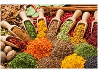 120CM 80CM OBRAZ ŚCIENNY FESTIWAL PRZYPRAW