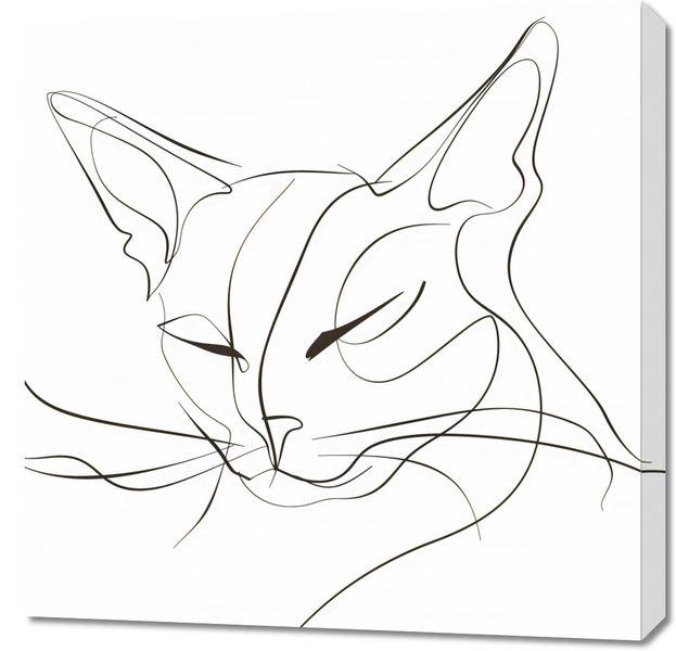 Obraz 70x70cm Linijny Kot zdjęcie 1