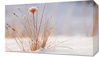 Obraz 50x30cm Zima w Detalach