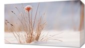 Obraz 50x30cm Zima w Detalach