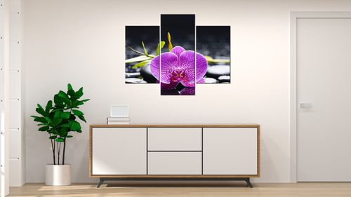 Foto-Obraz 90X70 Orchidea na Arena.pl