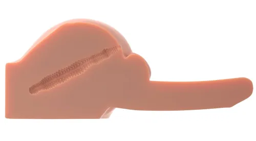 pipedream pdx male model anatomiczny z dźwiękiem, fanta flesh, usb na Arena.pl