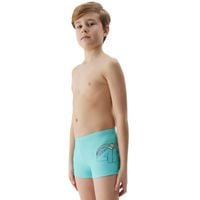 Bokserki kąpielowe 4F M036 Jr 4FJWSS25USWTM036 47S 158-164cm