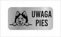 GRAWER Tabliczka nierdzewna laminat 20x10 cm UWAGA PIES Siberian husky