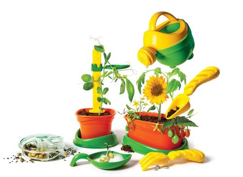 Botanika dla Malucha Clementoni na Arena.pl