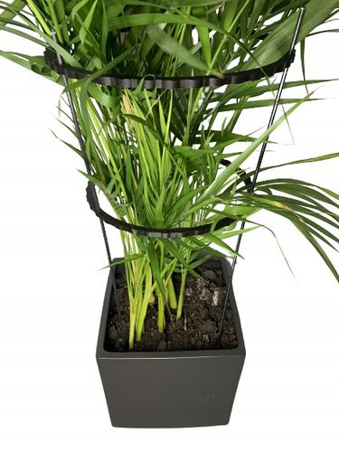 Podpórki do roślin kwiatów podpora pierścieniowa podpórka RINGS S33cm 16/18 na Arena.pl