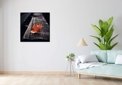 Plakat 80x80cm Pojedynczy Liść na Arena.pl