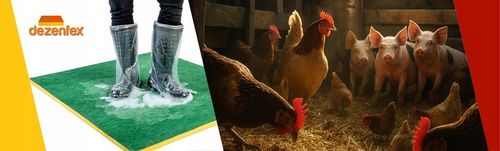 MATA DEZYNFEKCYJNA 100x100x3CM EKO_PLUS + GRATIS na Arena.pl