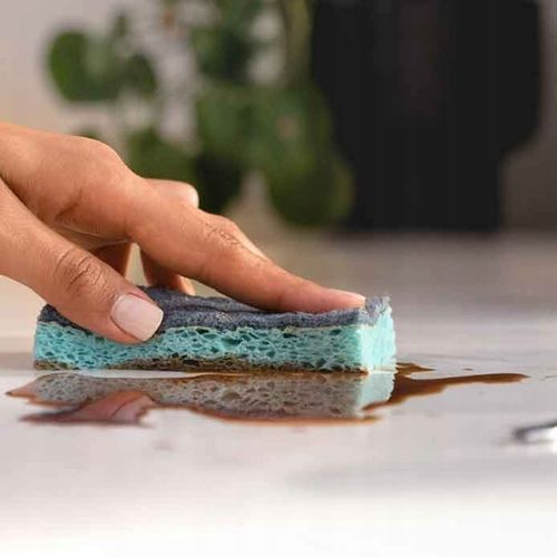 Zmywak wiskozowy z enzymami Vileda Pro Clean 2 szt. na Arena.pl