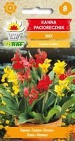 Kanna Paciorecznik mix nasiona 1 g