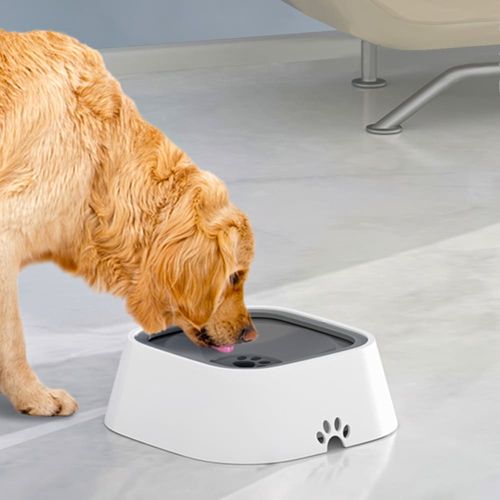 Miska niechlapiąca dla psa na Arena.pl