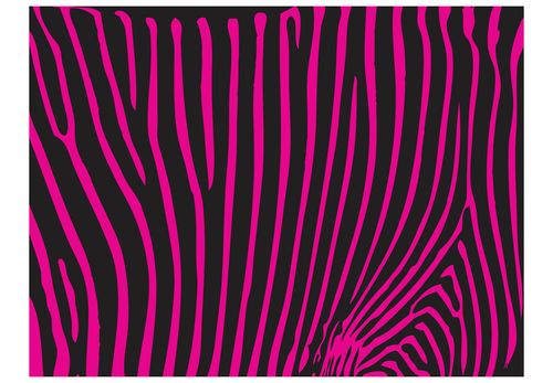 Fototapeta - Zebra pattern (fioletowy) 400x309 na Arena.pl
