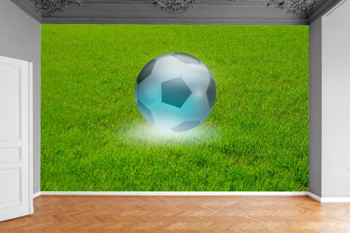 Fototapeta PIŁKA NA MURAWIE 130x80 na Arena.pl