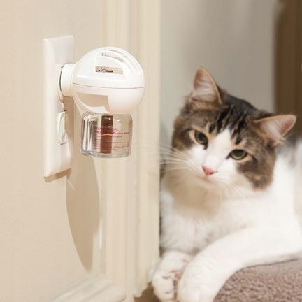 FELIWAY ZESTAW STARTOWY 30 dniowy zdjęcie 3