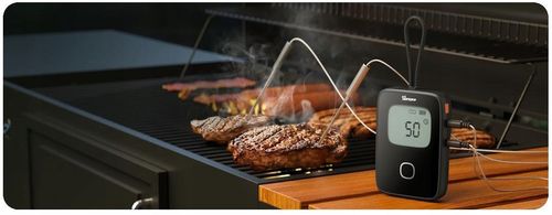 SONOFF Termometr Do Mięsa BBQ BMT01 Pomiar Od 0 Do 300 Stopni Bluetooth na Arena.pl