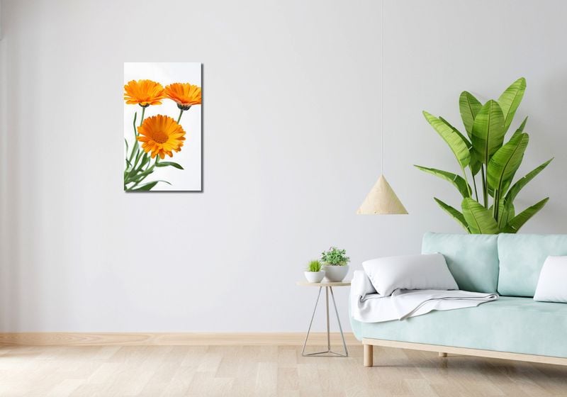 Obraz 40x70cm Słoneczne Kalendule zdjęcie 2
