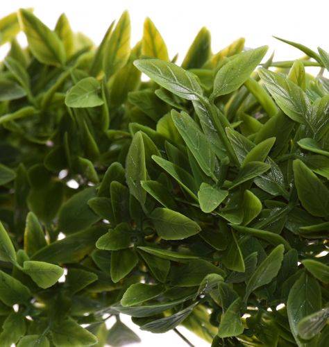 Girlanda ruscus 150cm na Arena.pl