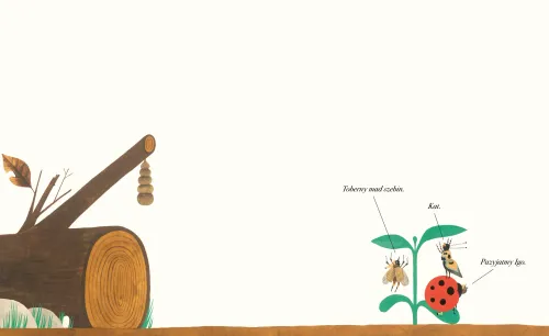 Zu dę daś? na Arena.pl