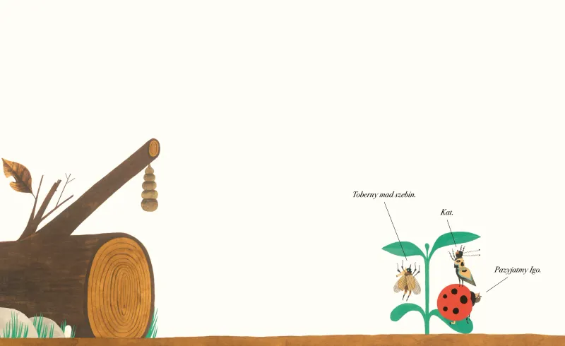 Zu dę daś? zdjęcie 4