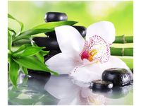 60X50CM KAMIENIE SPA STORCZYK OBRAZ ŚCIAN DREWNIANE