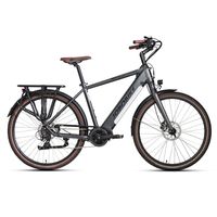 Rower Elektryczny Jobobike Henry