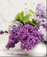 60CM 50CM OBRAZ ŚCIENNY BEZ DRUK PŁÓTNO