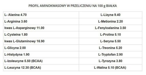 GenLab - Gain Support Professional - 2,4 kg truskawka na Arena.pl